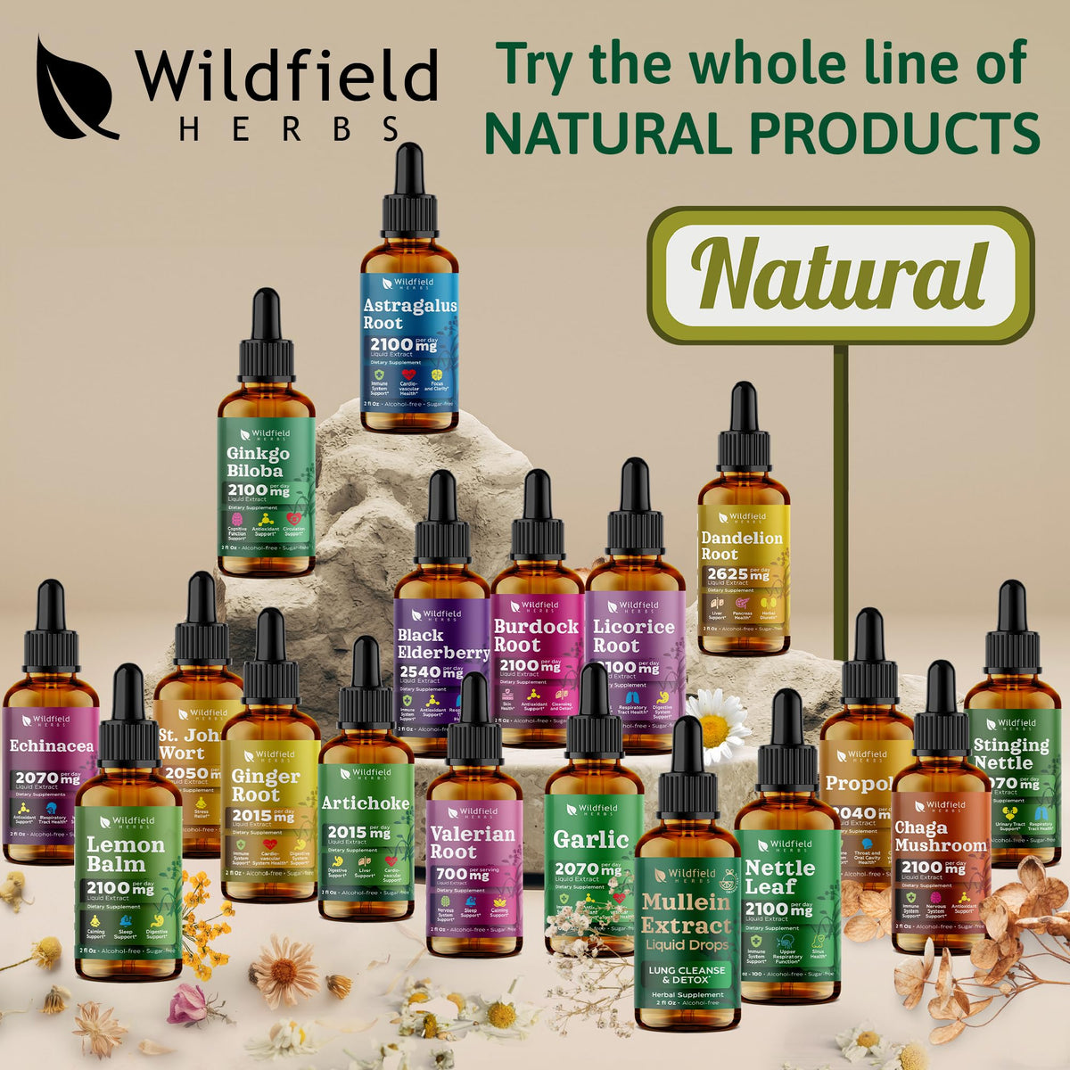 High potency 2000mg stinging nettle leaf extract bottle for immune and joint health