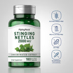 Piping Rock Stinging Nettles herbal extract capsule detail