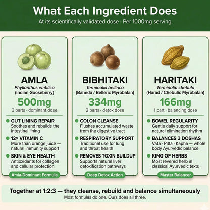 Daily All Day Triphala digestive support supplement bottle on white background