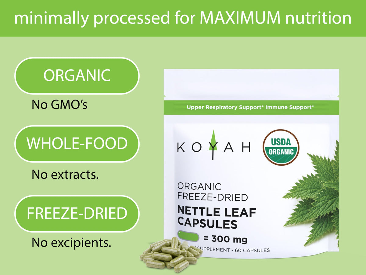 Back label of KOYAH stinging nettle capsules highlighting USDA organic certification and vegan ingredients.