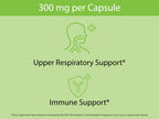 KOYAH stinging nettle leaf herbal pouch displaying immune and seasonal wellness support benefits.