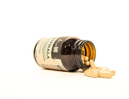 Supplement facts panel on the back of ISHA Triphala 90 veggie capsules bottle