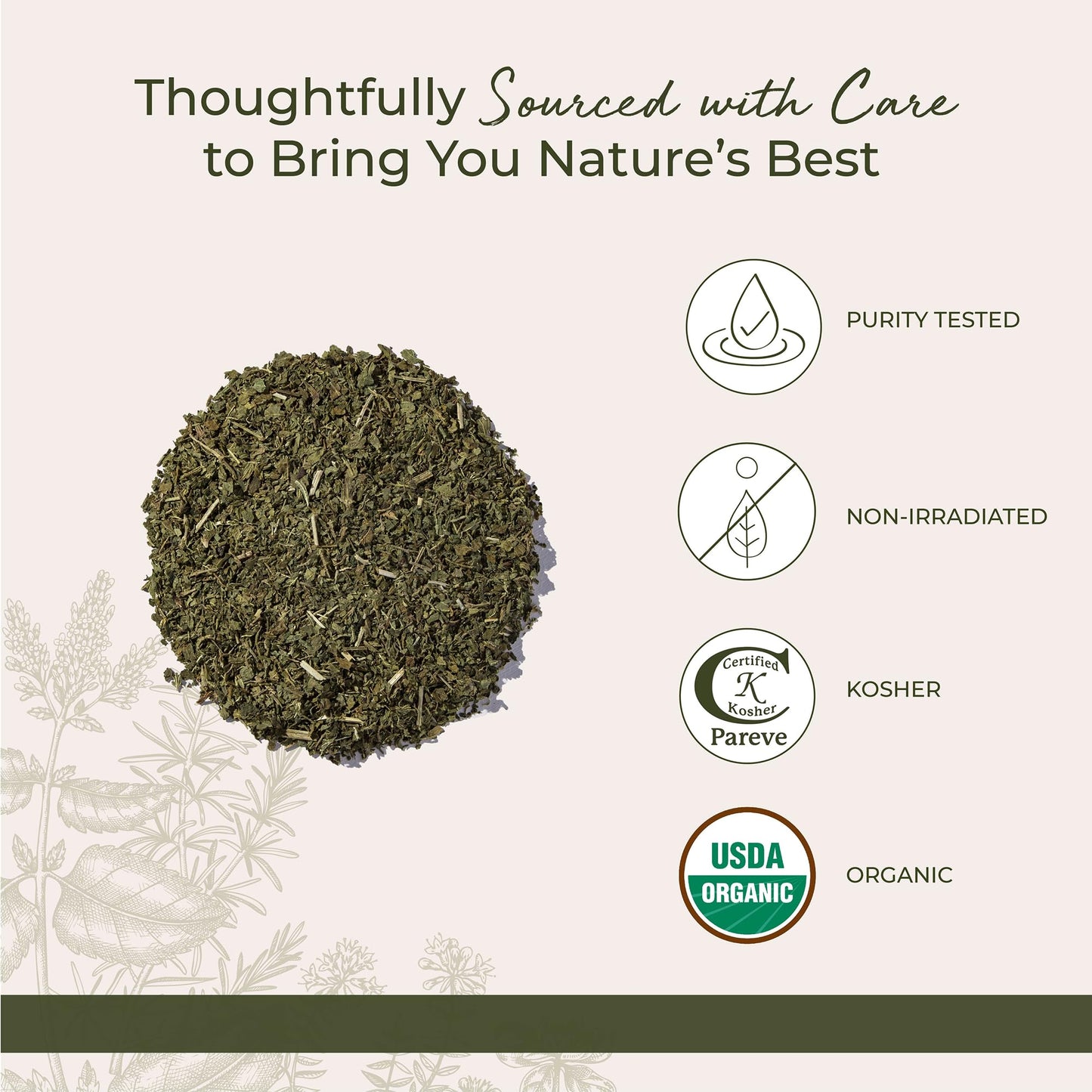 Starwest Botanicals organic nettle leaf loose herb in a glass bowl