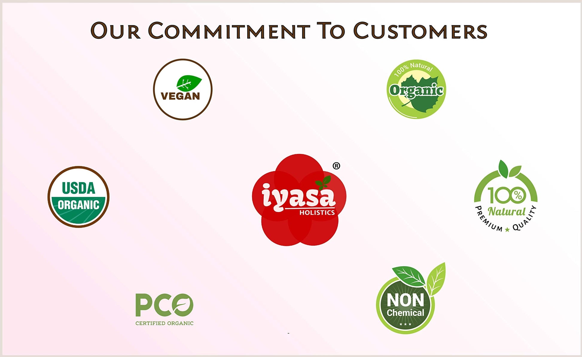 Premium three fruit Ayurvedic blend Triphala powder by Iyasa Holistics.