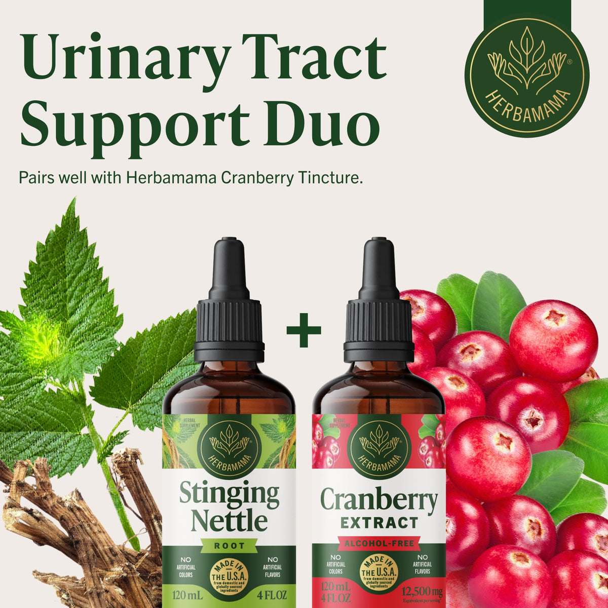 Herbamama Stinging Nettle four ounce extract liquid detailing vegetable glycerin base formulation
