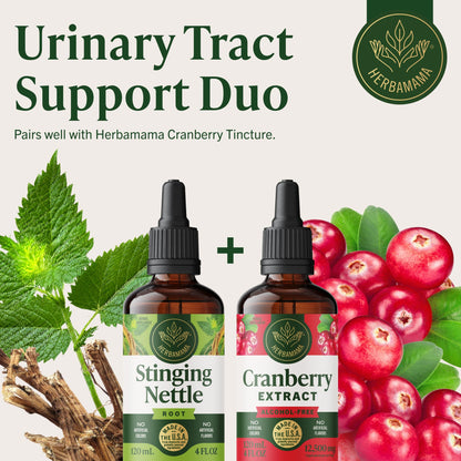 Herbamama Stinging Nettle four ounce extract liquid detailing vegetable glycerin base formulation