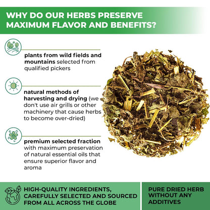 Premium Wildfield Herbs Urtica dioica dried tea leaves close up details