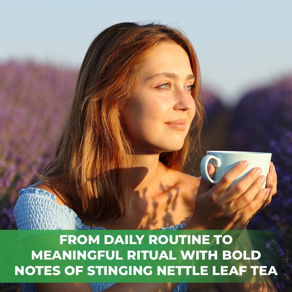 Wildfield Herbs premium stinging nettle tea pouch highlighting non GMO and caffeine free seals