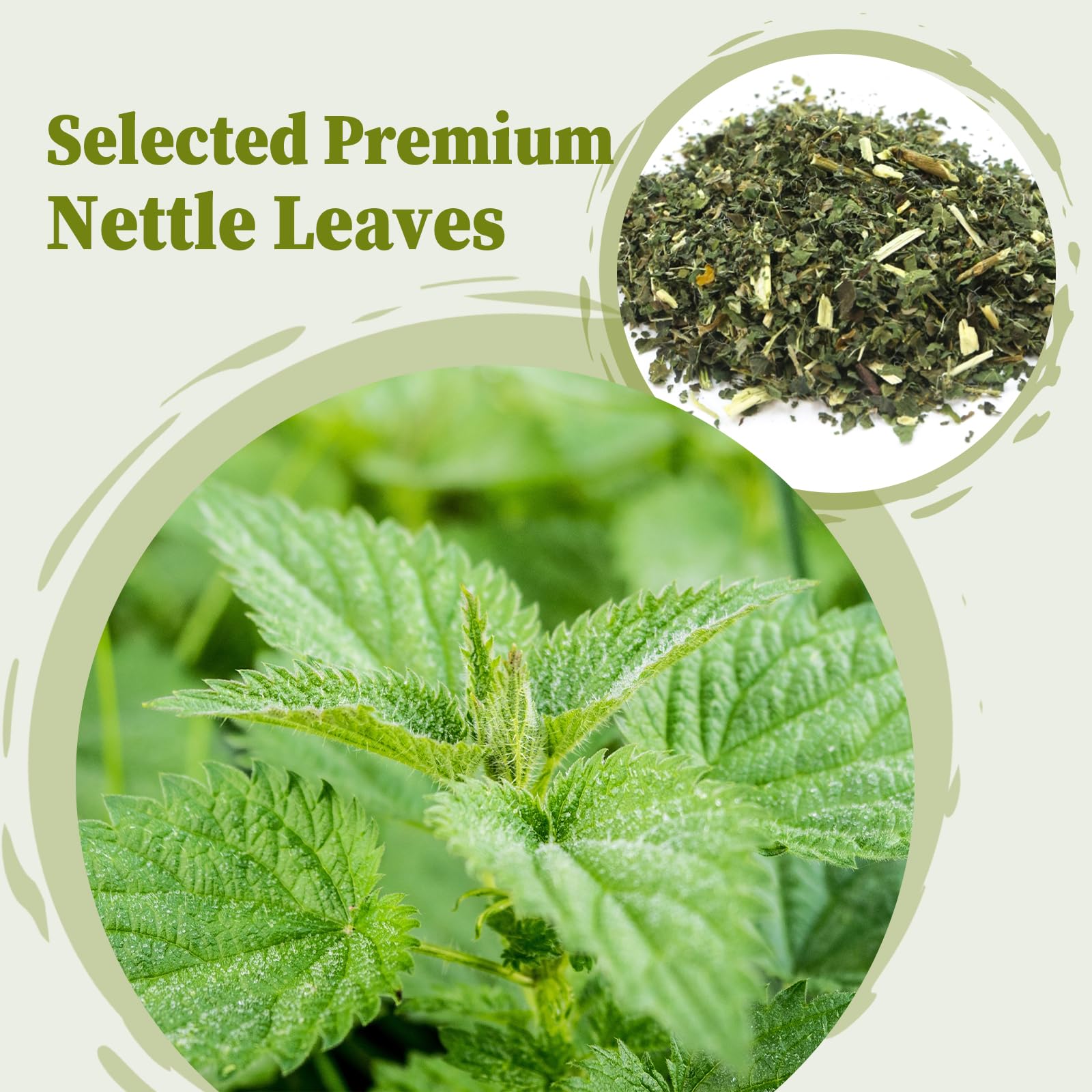 FullChea stinging nettle tea bags showing the authentic USA imported packaging.