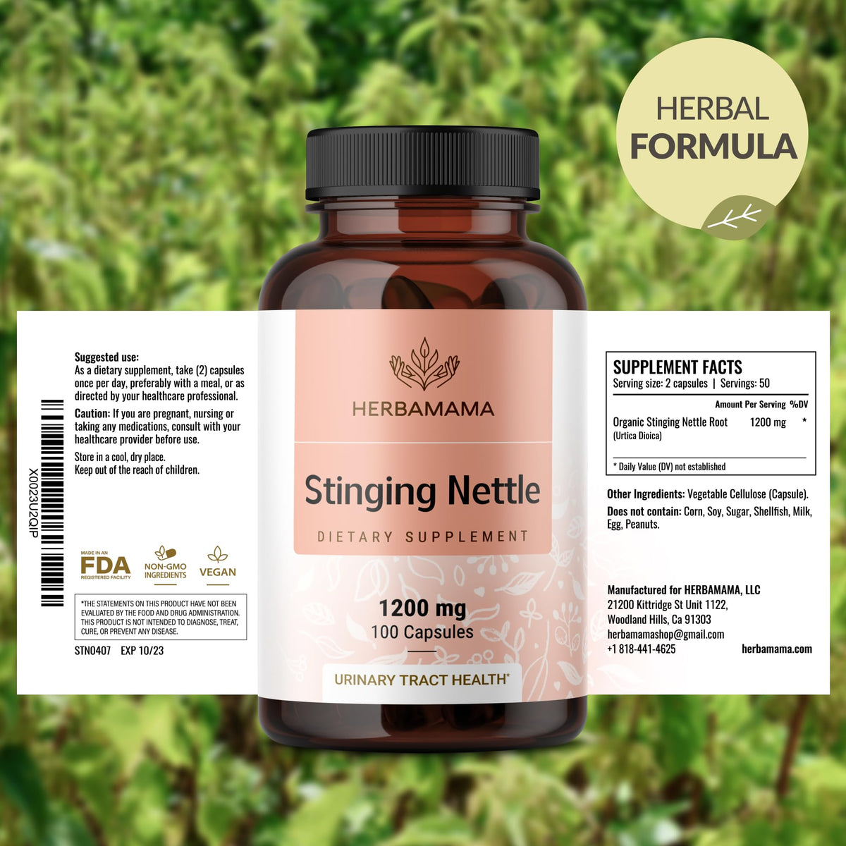 Premium imported HERBAMAMA Urtica Dioica root extract dietary capsules for daily bladder wellness