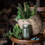 Nutrient dense green stinging nettle seed herbal powder displayed on a spoon.