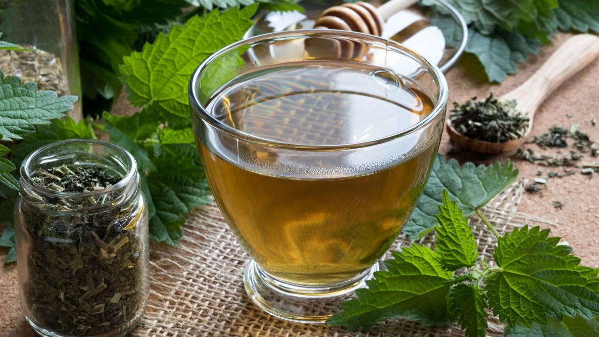 Bichhu Buti or stinging nettle seed powder for preparing natural kidney support tea.