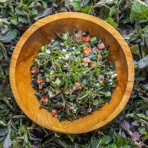 Premium quality gluten free non GMO nettle seed supplement storage pouch.