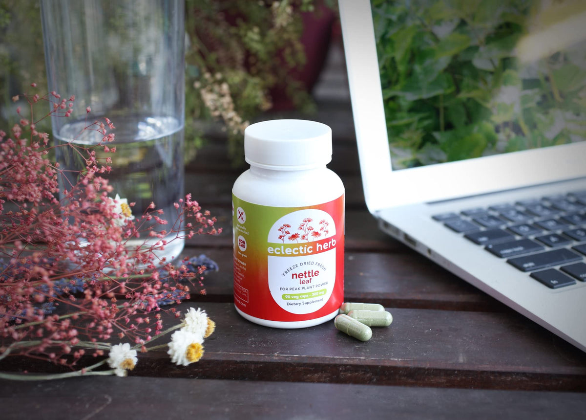 Eclectic Institute freeze-dried whole herb nettle bottle