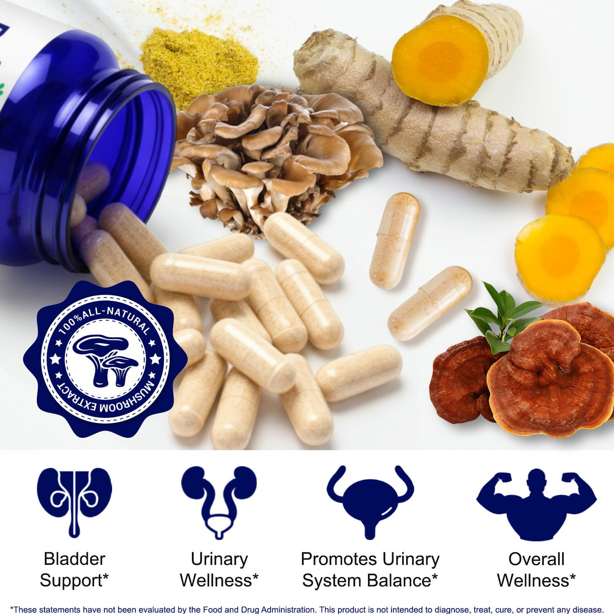 Ocnisdns prostate supplement back label displaying complete herbal and mushroom ingredients list