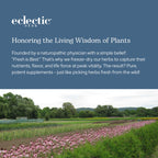 Eclectic Institute Nettle Quercetin 90 Veg Caps product branding