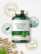 Carlyle Stinging Nettle 2000mg supplement bottle displayed with natural green leaf elements highlighting herbal purity