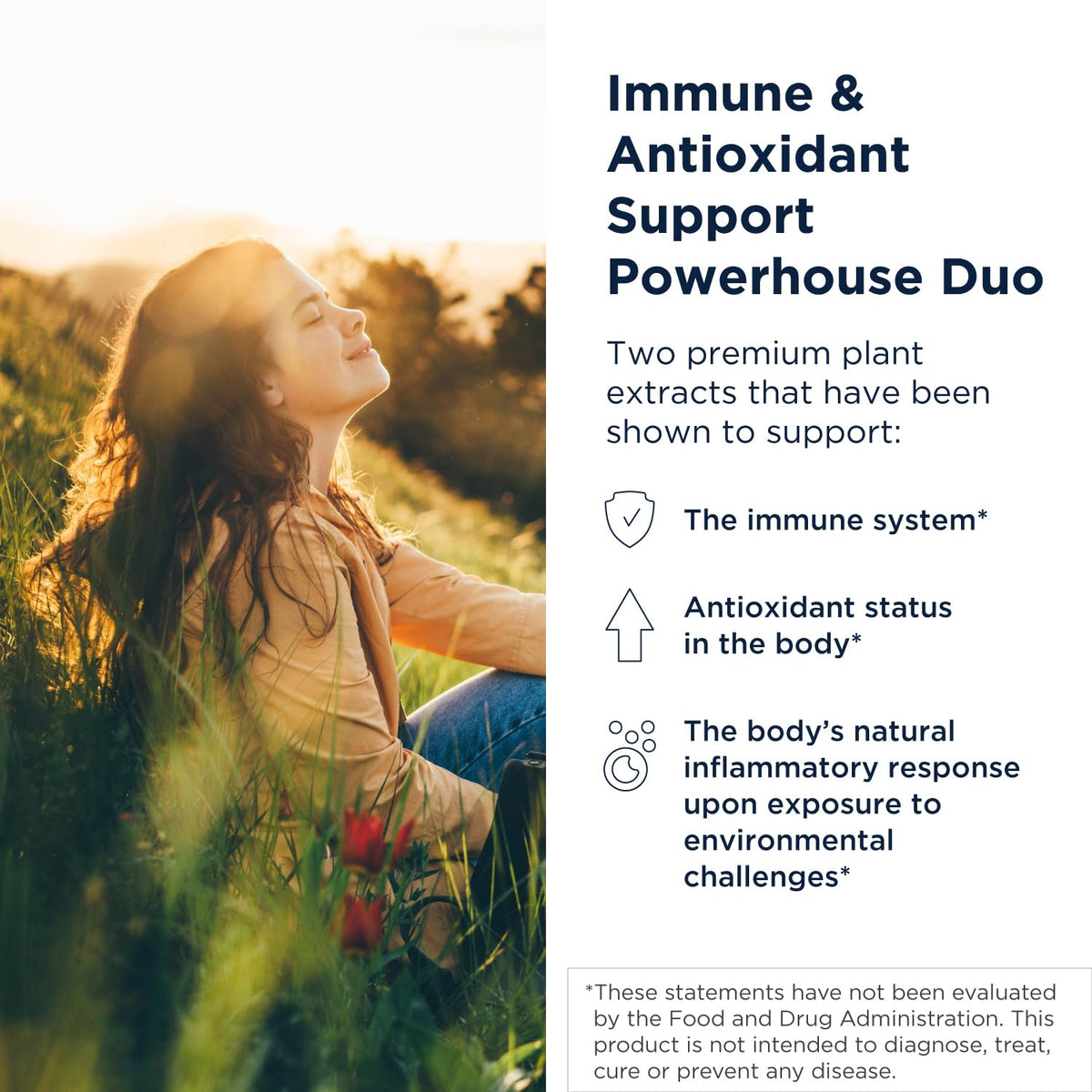 Designs For Health Quercetin Nettle supplement facts label