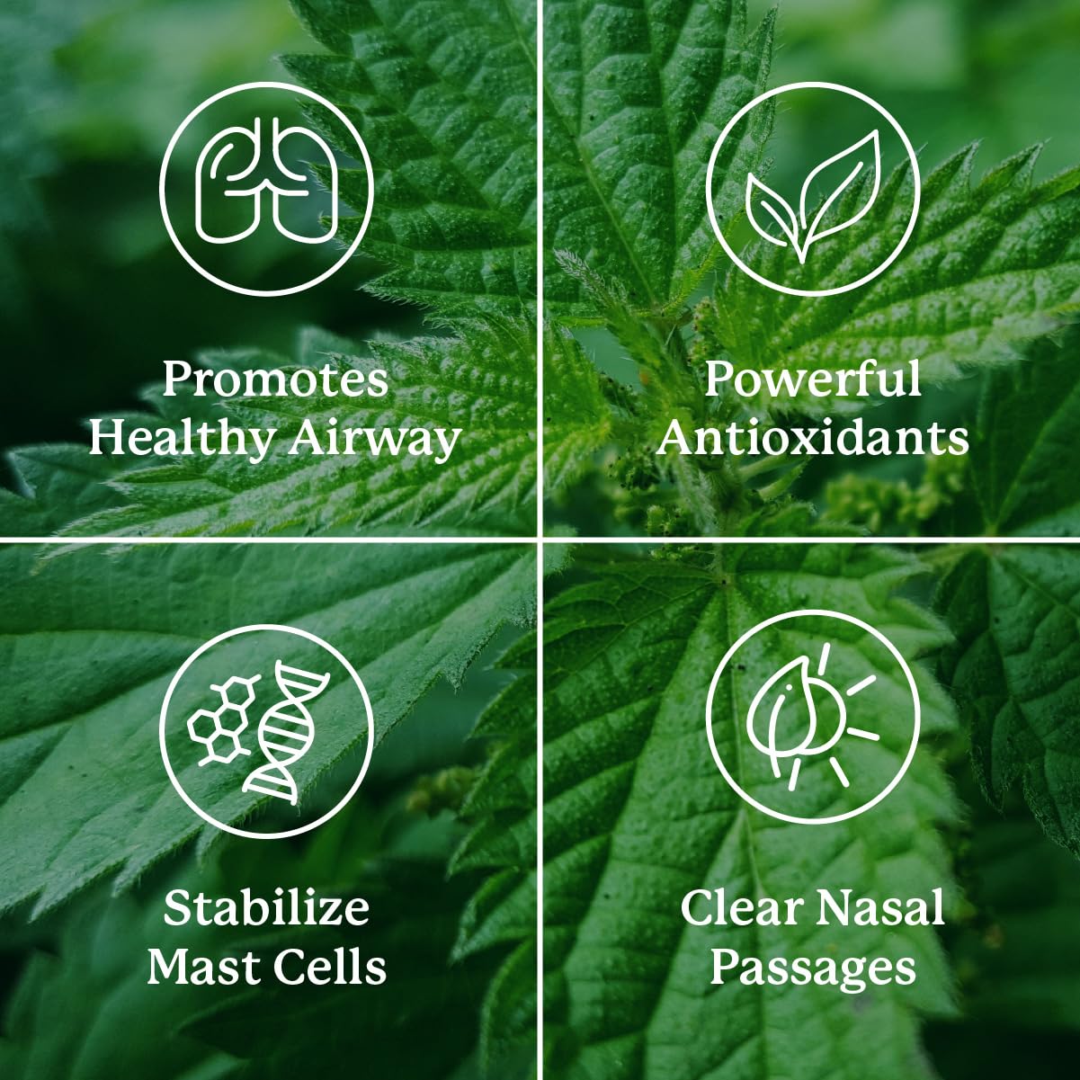 Nature's Sunshine HistaBlock packaging details and brand logo