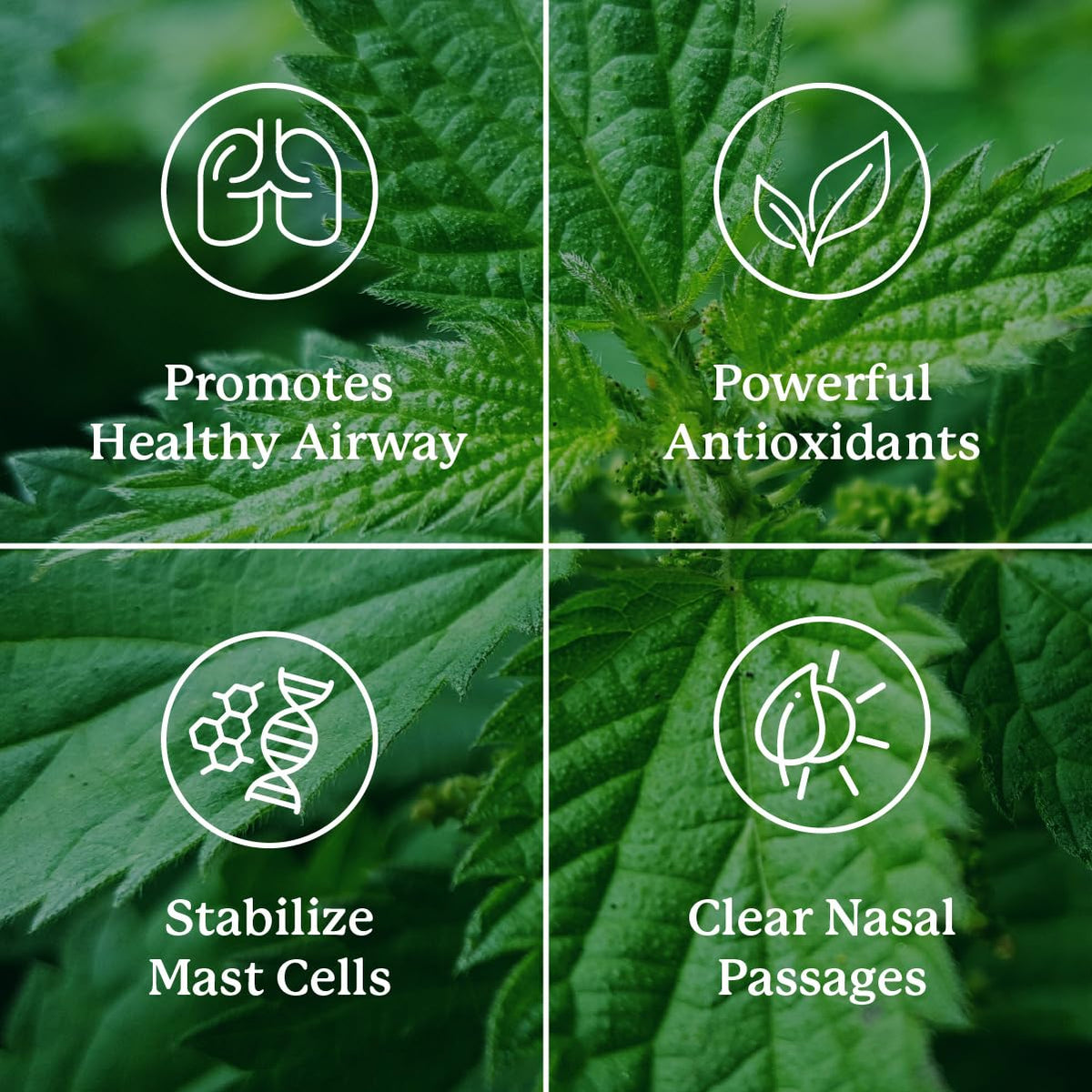 Nature's Sunshine HistaBlock packaging details and brand logo