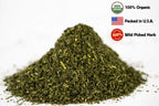 Wild harvested stinging nettle loose leaf tea nutritional benefits