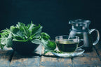 Antioxidant rich stinging nettle tea for kidney and allergy support