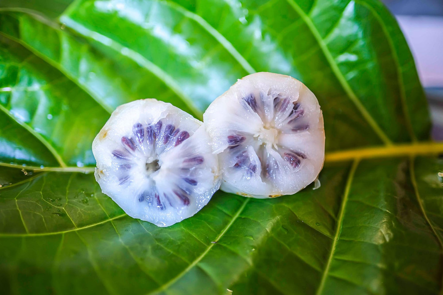 Back label of Wailua River noni supplement showing ingredient purity details
