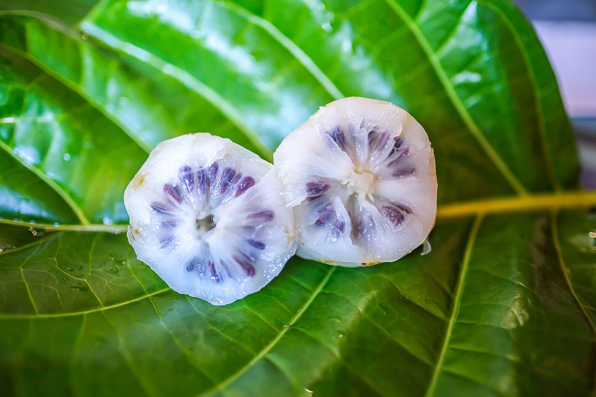 Back label of Wailua River noni supplement showing ingredient purity details