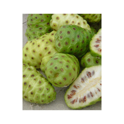 Authentic imported Fijian noni veggie capsules container showing complete organic certification seals