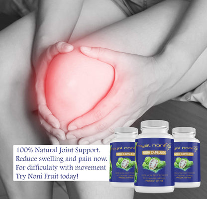 Close up view of clean vegetable capsules filled with pure sundried noni fruit powder