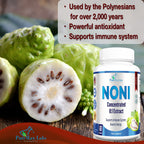 YUMMYVITE Morinda Citrifolia capsule for natural antioxidant and energy boost