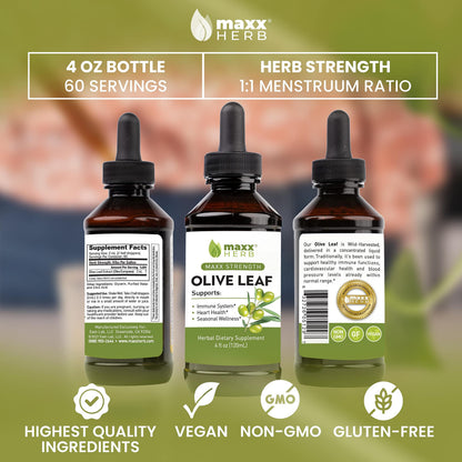 Maxx Herb Olive Leaf Extract liquid tincture bottle showing authentic imported seal and product barcode information