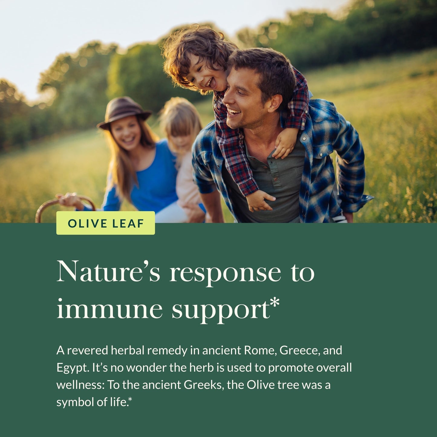 Gaia Herbs Olive Leaf supplement usage instructions label