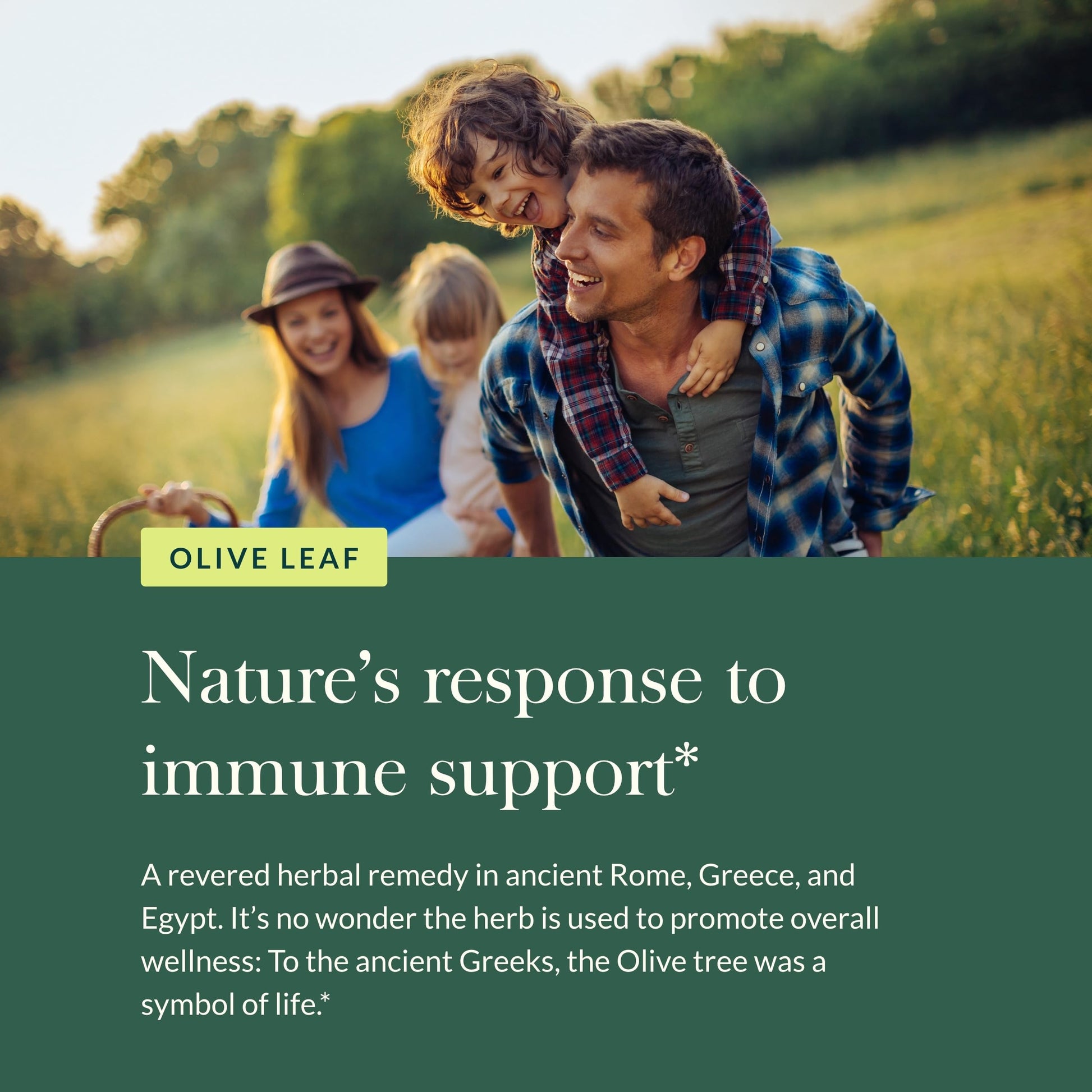 Gaia Herbs Olive Leaf supplement usage instructions label