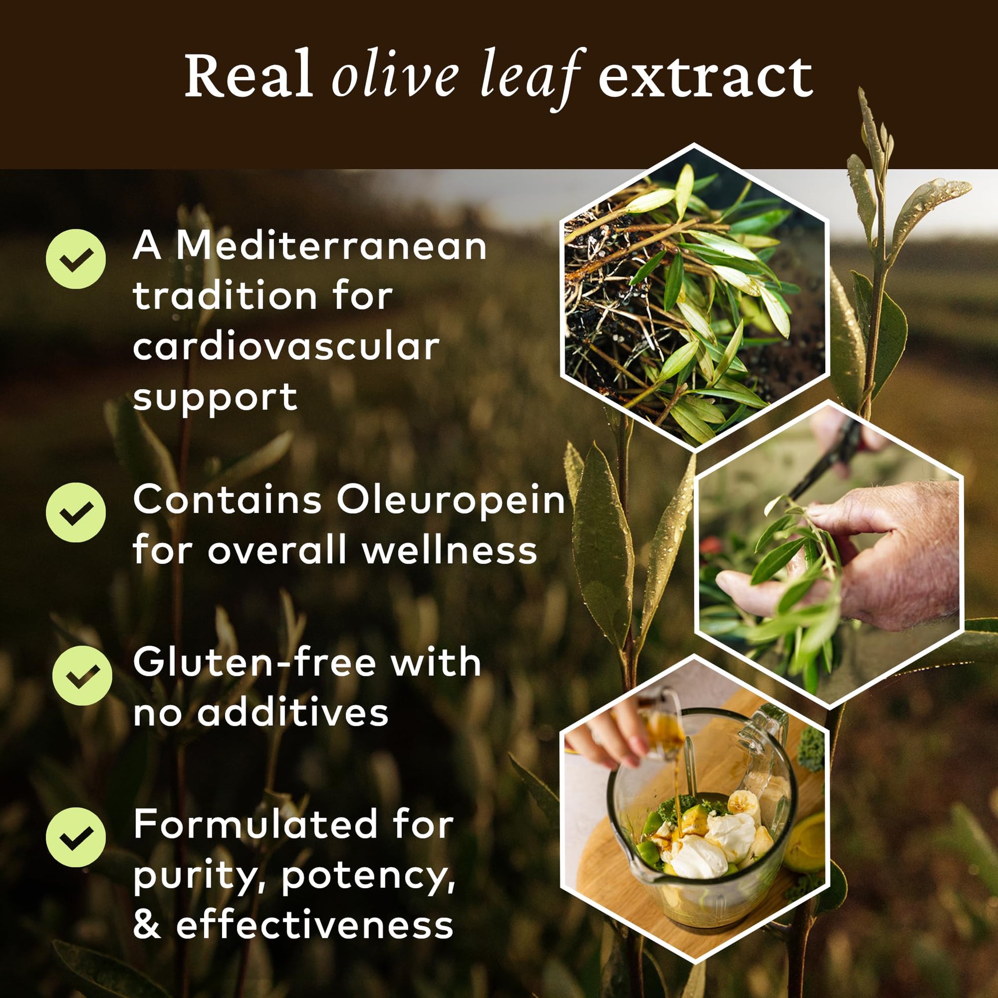 Top view of Comvita Olive Leaf Extract packaging