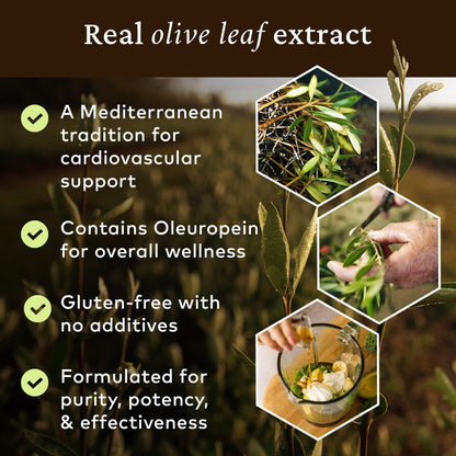 Top view of Comvita Olive Leaf Extract packaging