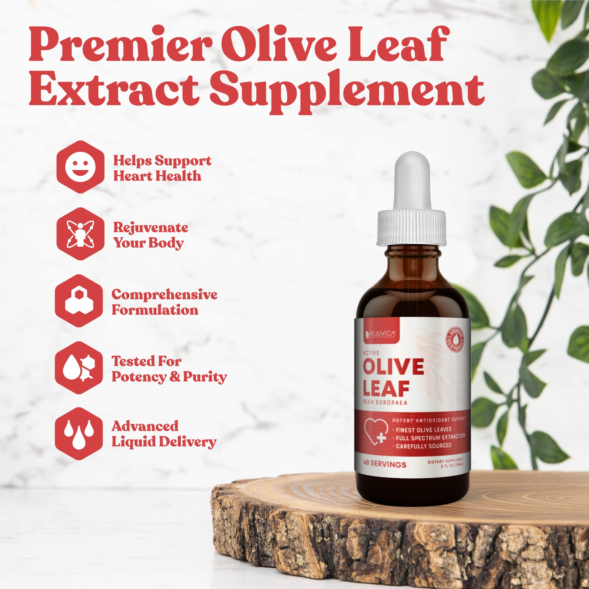 Rejuvica Active Olive Leaf liquid drops packaging showing immune and cardiovascular health benefits.