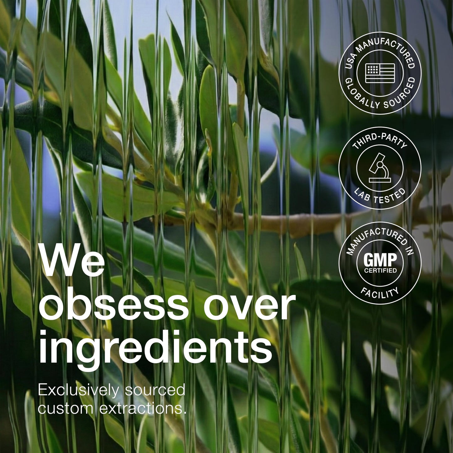 Close up view of Toniiq brand high potency herbal supplement bottle for wellness