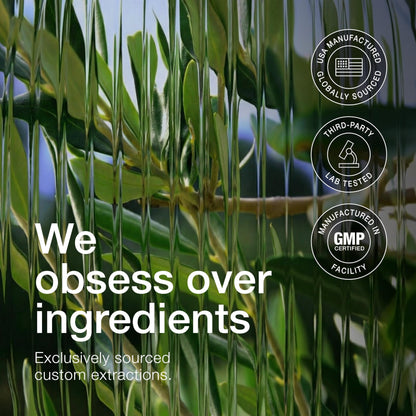 Close up view of Toniiq brand high potency herbal supplement bottle for wellness