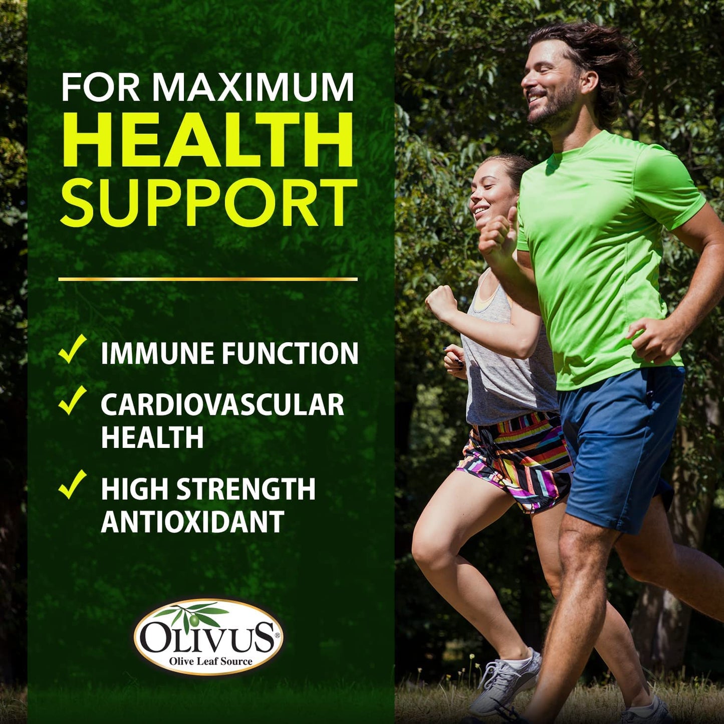 Authentic imported Olivus capsules container highlighting Spanish sourced organic olive leaf powder.