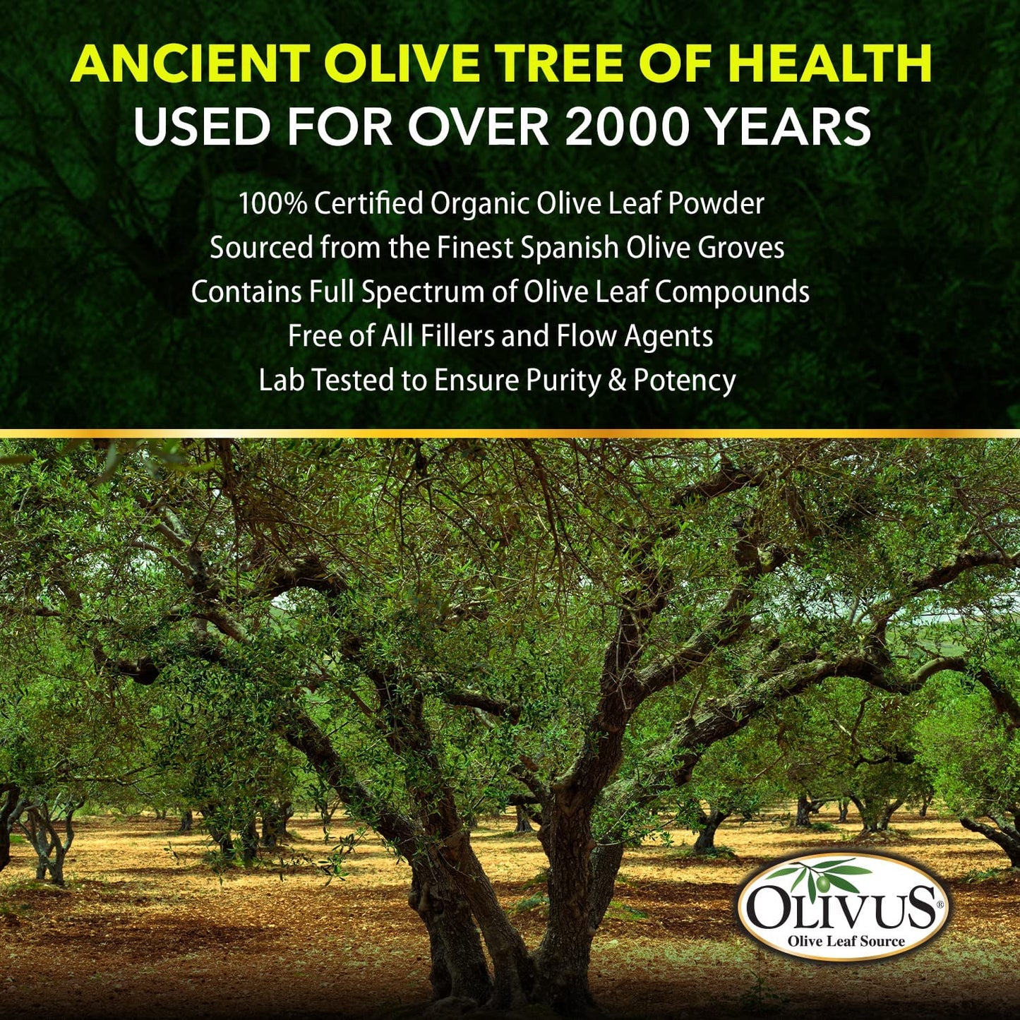 Close up view of the vegetable capsules from the USA manufactured Olivus wellness product.