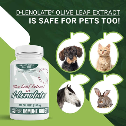 East Park Olive Leaf Extract patented vegan capsules for natural antioxidant and cardiovascular support.