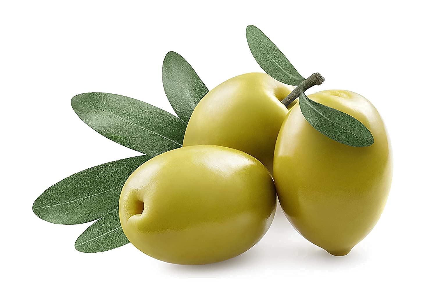 OPO Squalane Oil non GMO hexane free refined carrier oil for hair and skin