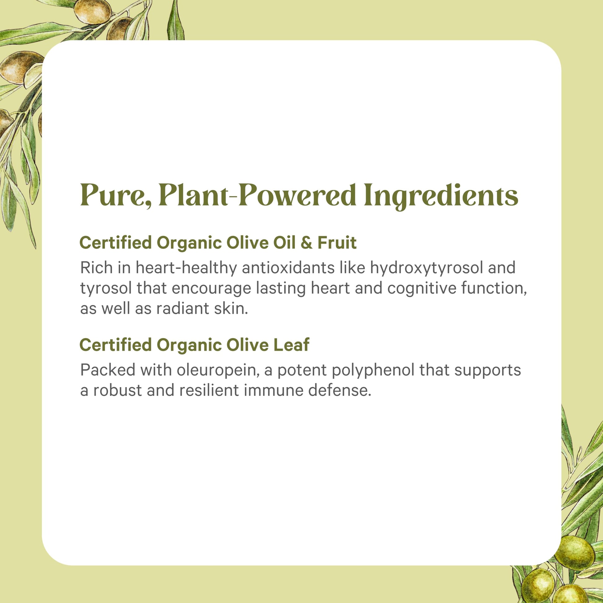 Pure Synergy premium vegan non GMO olive leaf fruit oil capsules