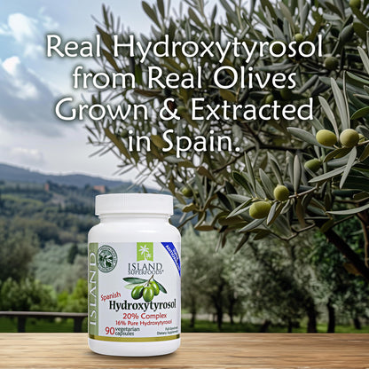Island Nutrition olive fruit extract supplement bottle displaying supplement facts panel and ingredient listing