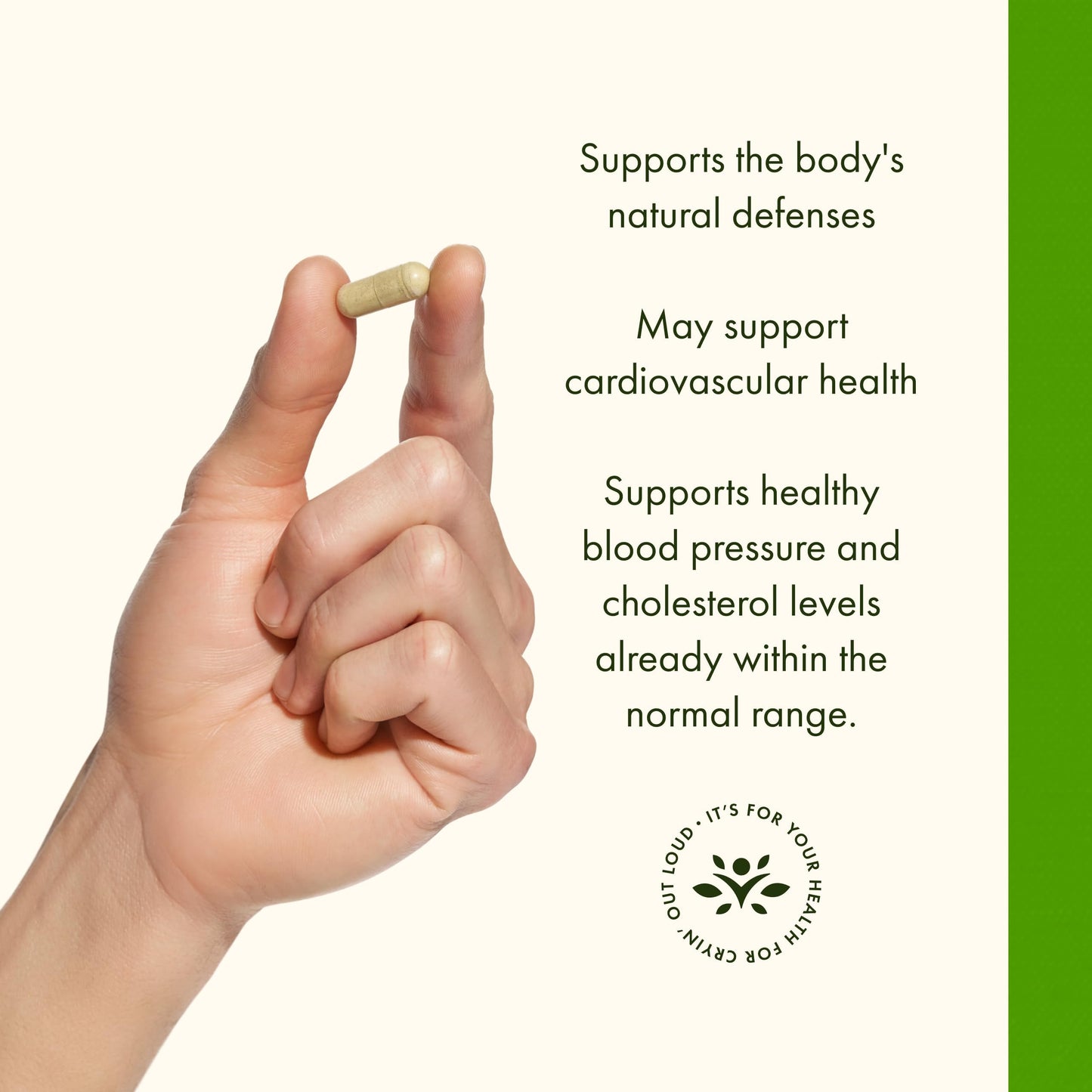 Capsule size and texture of Swanson Olive Leaf Extract supplement