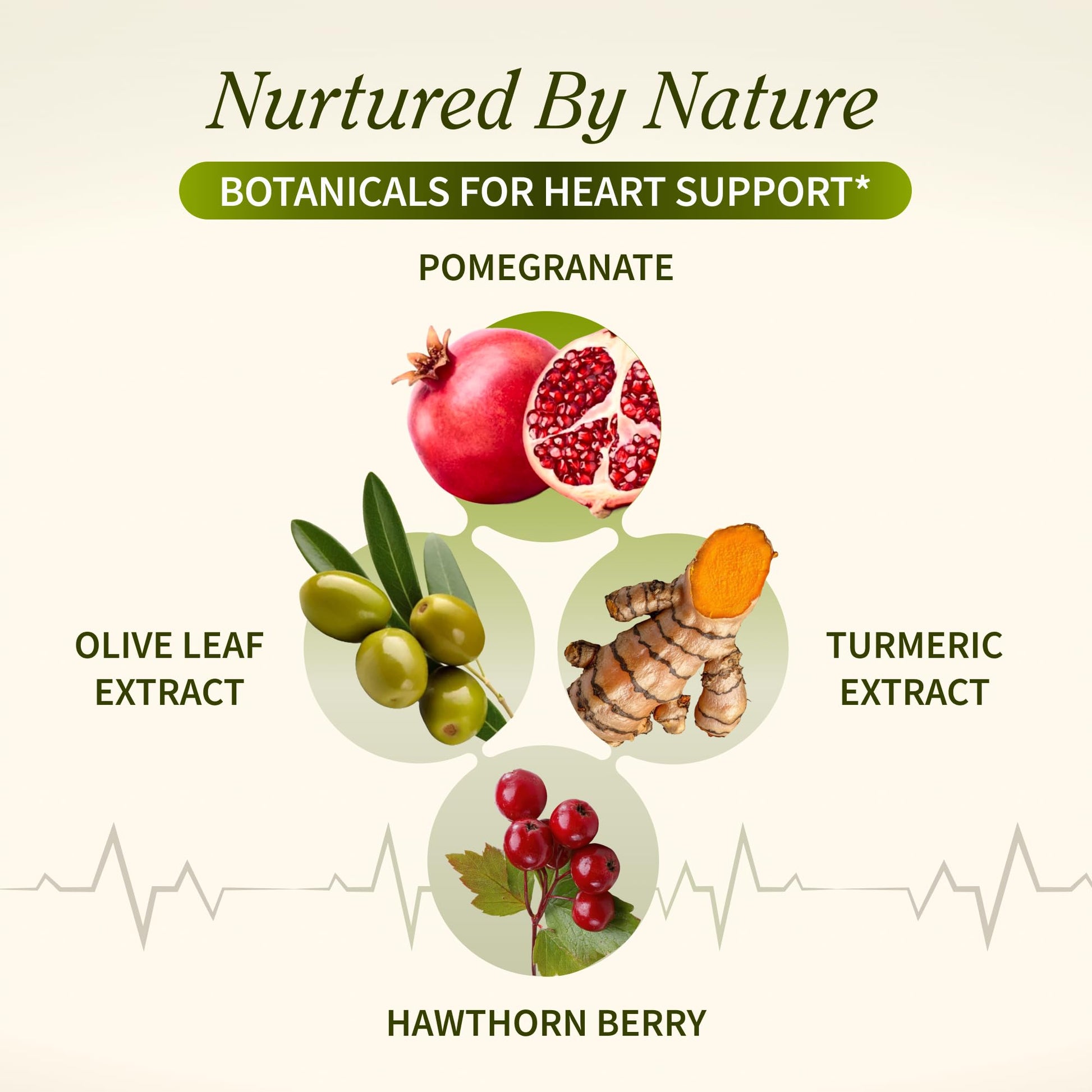 Snap Supplements organic beetroot and CoQ10 formula bottle for nitric oxide boost