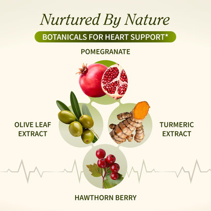 Snap Supplements organic beetroot and CoQ10 formula bottle for nitric oxide boost