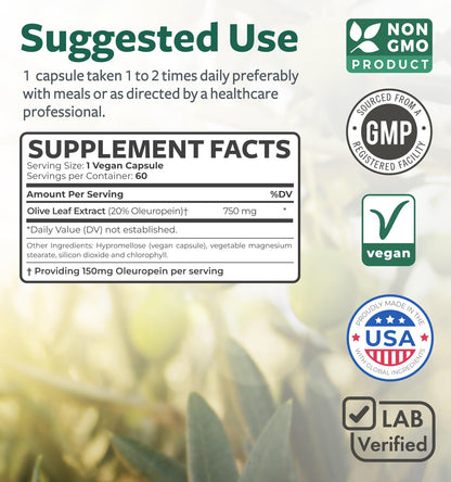 Healths Harmony Olive Leaf Extract bottle open showing the clean green-tinted vegetarian capsules inside.