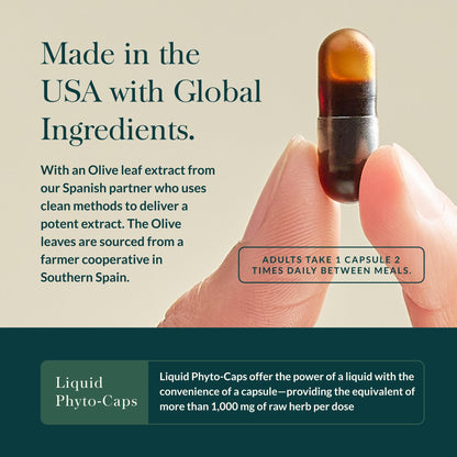 Gaia Herbs Olive Leaf Liquid Phyto-Caps dietary supplement